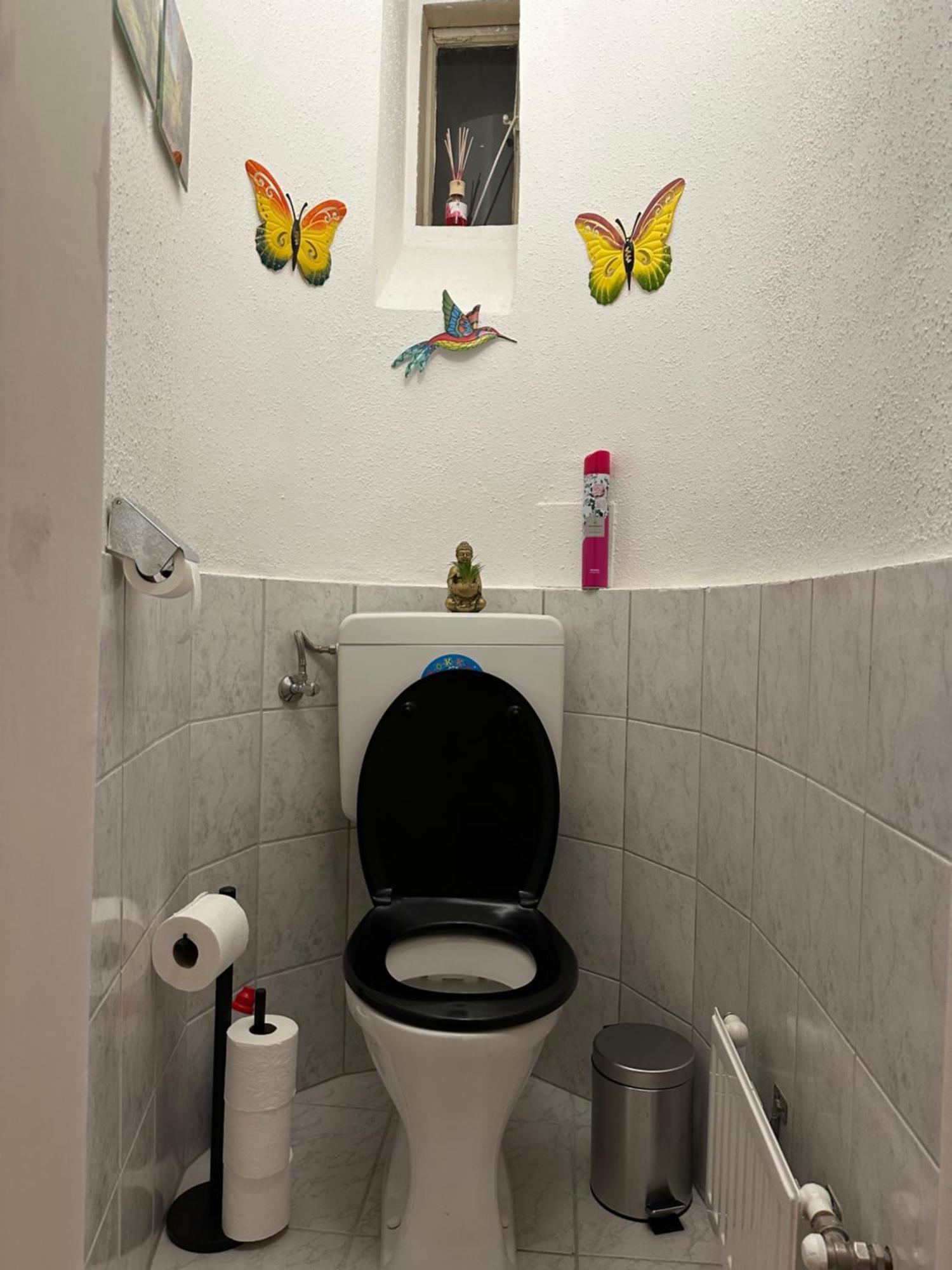 Klimatisierter Wiener Altbauflair Im Zentrum Wiens Екстер'єр фото