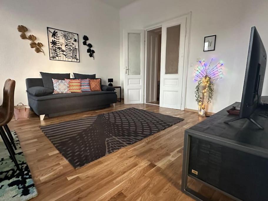 Klimatisierter Wiener Altbauflair Im Zentrum Wiens Екстер'єр фото